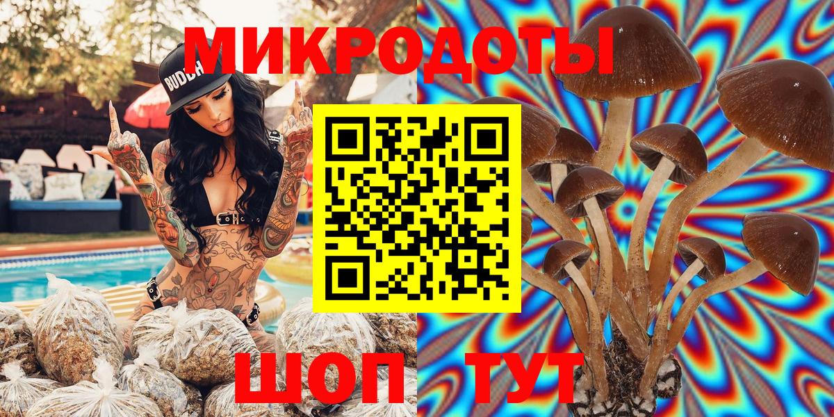 Гатчина  Галлюциногенные грибы Psilocybine cubensis  Вход с VPN 